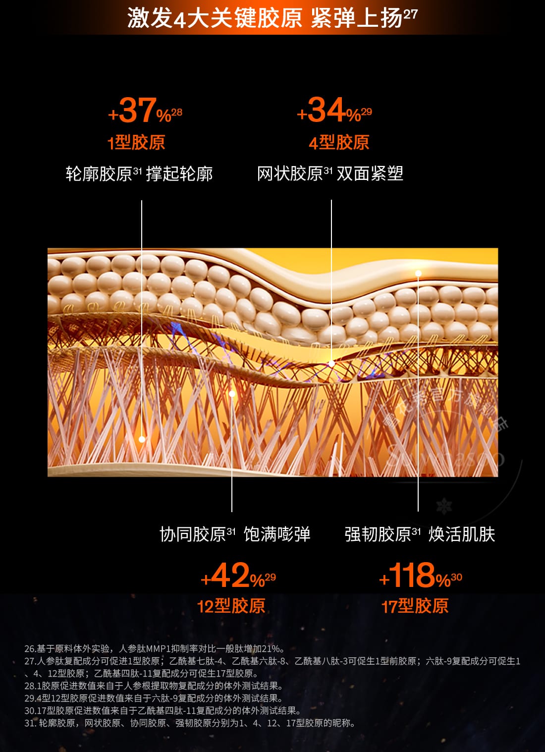 第六代 人生就是搏尊龙人参霜