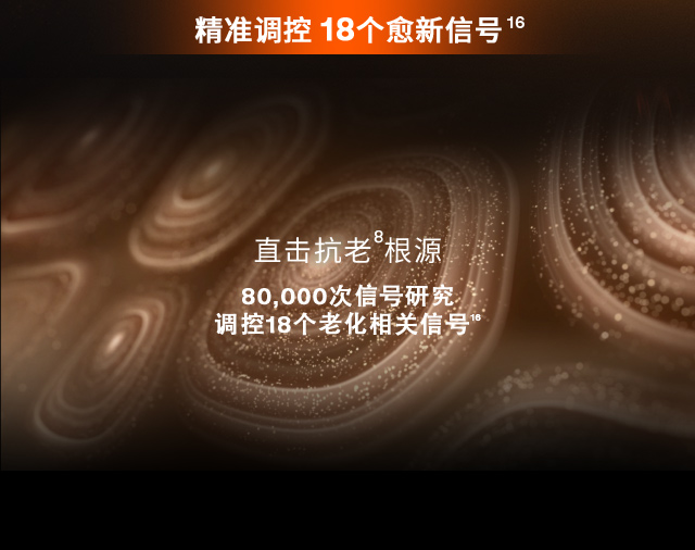 第六代 人生就是搏尊龙人参霜
