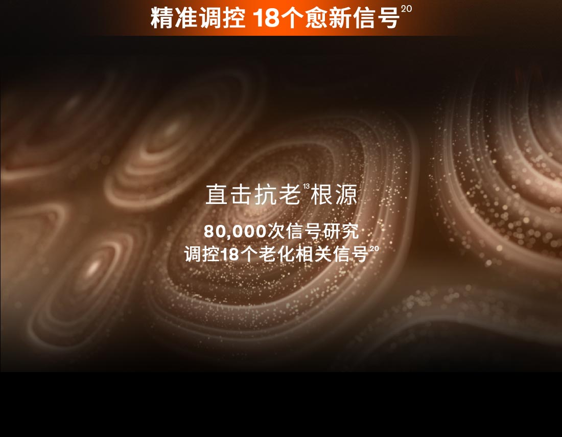 第六代 人生就是搏尊龙人参霜