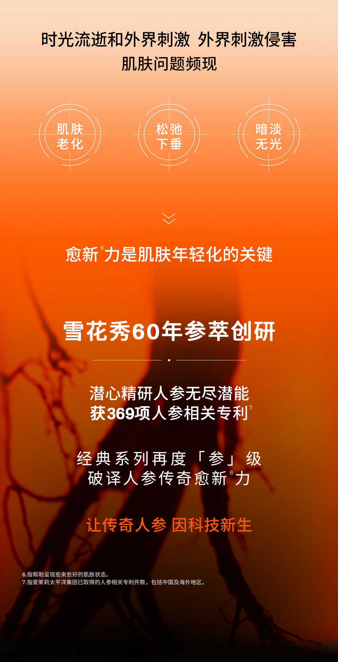 第六代 人生就是搏尊龙人参霜