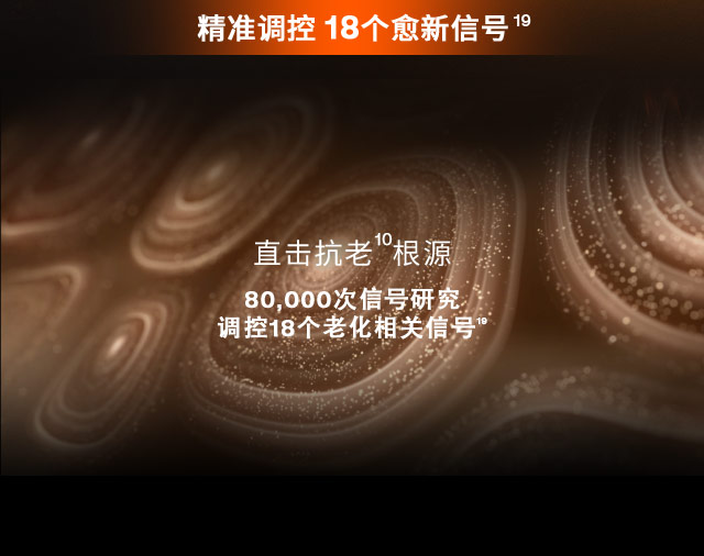 第六代 人生就是搏尊龙人参霜