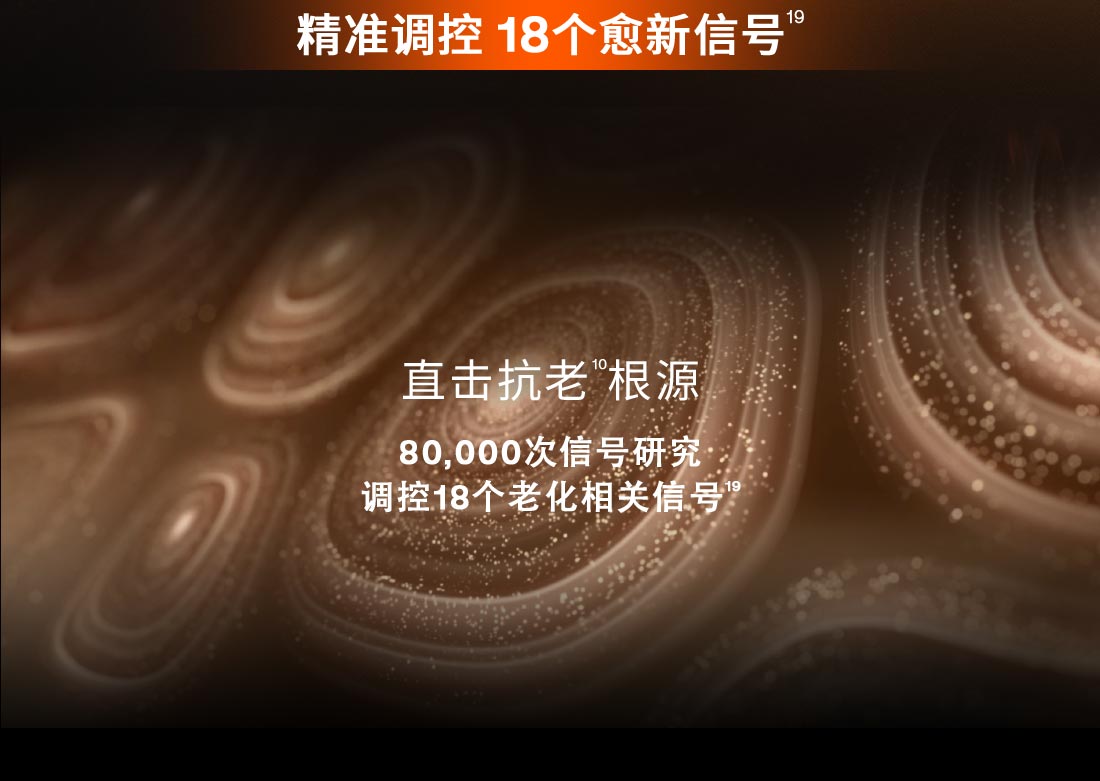 第六代 人生就是搏尊龙人参霜